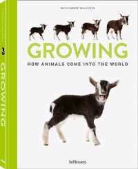 Book Cover for Growing by Marlonneke Willemsen