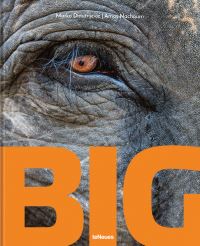 Book Cover for Big by Amos Nachoum