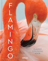 Book Cover for Flamingo by Claudio Contreras