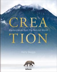 Book Cover for Creation by Harry Skeggs