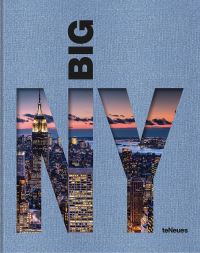 Book Cover for Big New York by 