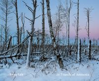 Book Cover for In Search of Amnesia by Barry Falk