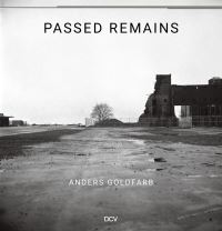 Book Cover for Anders Goldfarb by Bonnie Yochelson