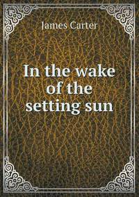 Book Cover for In the Wake of the Setting Sun by Anna Quindlen