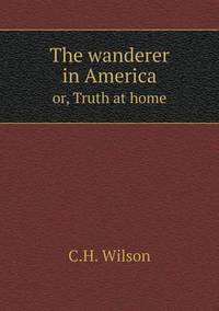 Book Cover for The Wanderer in America or, Truth at Home by Alison Salvesen, Alison Salvesen