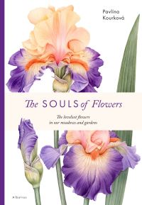 Book Cover for The Souls of Flowers by Pavlina Kourkova, Klara Mandausova