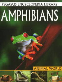 Book Cover for Amphibians by Pallabi B Tomar, Hitesh Iplani, Tapasi De, Suman S Roy, Tanoy Choudhury