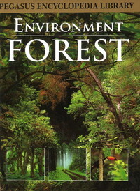 Book Cover for Forest by 