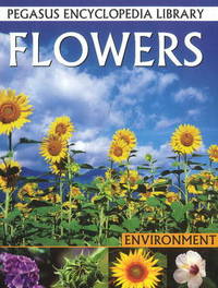 Book Cover for Flowers by Pallabi B Tomar, Hitesh Iplani, Suman S Roy, Tanoy Choudhury