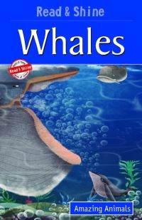 Book Cover for Whales by Tapasi De
