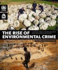 Book Cover for The Rise of Environmental Crime by United Nations Environment Programme, International Criminal Police Organization