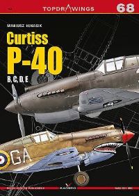 Book Cover for Curtiss P-40 by Mariusz Lukasik