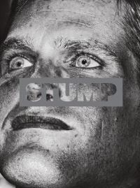 Book Cover for Stump by John Heilemann