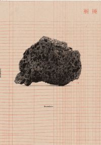 Book Cover for Arturo Hernández Alcázar by Cécile BourneFarrell