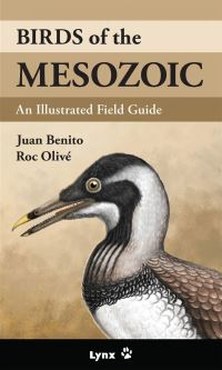 Book Cover for Birds of the Mesozoic by Juan Benito