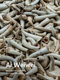 Book Cover for Ai Weiwei by Cui Cancan, Evan Osnos, John Gibler
