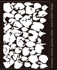 Book Cover for Roberto Obregón - Accumulate, Classify, Preserve, Display by Roberto Obregón