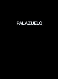 Book Cover for Pablo Palazuelo by Pablo Palazuelo