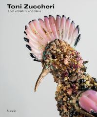Book Cover for Toni Zuccheri by Rosa Chiesa, Sandro Pezzoli