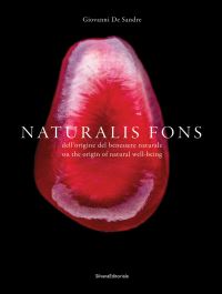 Book Cover for Naturalis Fons by Giovanni Sandre