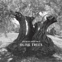 Book Cover for Olive Trees by Jacques Berthet