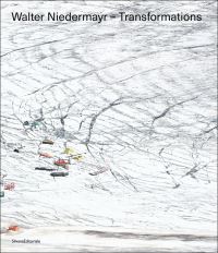 Book Cover for Walter Niedermayr by Walter Niedermayr, Stefano Chiodi, Catherine Grout, Walter Guadagnini