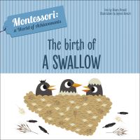 Book Cover for The Birth of a Swallow by Chiara Piroddi