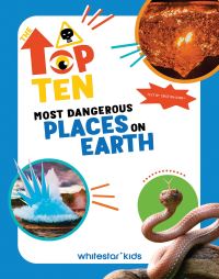 Book Cover for The Top Ten by Cristina Banfi