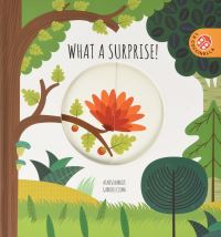 Book Cover for What a Surprise! by Gabriele Clima
