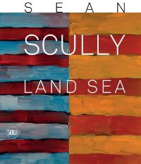 Book Cover for Sean Scully by Biennale di Venezia
