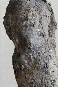 Book Cover for Hans Josephsohn by Josephsohn