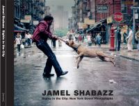Book Cover for Sights in the City by Jamel Shabazz