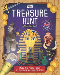 Book Cover for Treasure Hunt by Moira Butterfield
