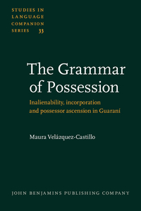 Book Cover for The Grammar of Possession by Maura VelázquezCastillo