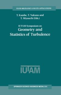 Book Cover for IUTAM Symposium on Geometry and Statistics of Turbulence by T Kambe, T Nakano, T Miyauchi