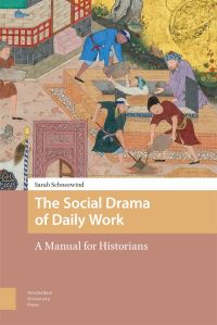 Book Cover for The Social Drama of Daily Work by Sarah Schneewind