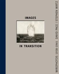 Book Cover for Images in Transition by David Pace, Stephan Wirtz