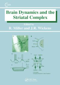 Book Cover for Brain Dynamics and the Striatal Complex by R Miller, J Wickens