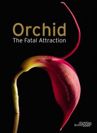 Book Cover for Orchid by 