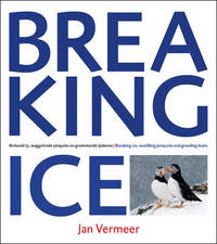 Book Cover for Breaking Ice by Martin Kers