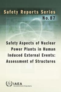 Book Cover for Safety Aspects of Nuclear Power Plants in Human Induced External Events by International Atomic Energy Agency