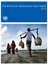 Book Cover for The Millennium Development Goals Report 2013 by Department of Economic and Social Affairs