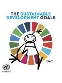Book Cover for The Sustainable Development Goals by United Nations