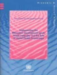 Book Cover for Implementing the Millennium Development Goals by United Nations