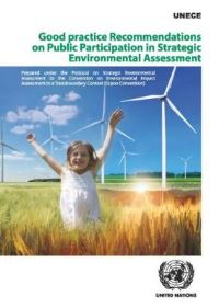 Book Cover for Good Practice Recommendations on Public Participation in Strategic Environmental Assessment by United Nations, United Nations