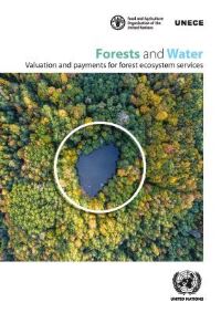Book Cover for Forests and Water by United Nations, Food and Agriculture Organization of the United Nations