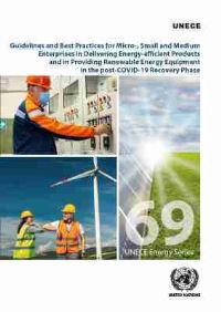 Book Cover for Guidelines and Best Practices for Micro-, Small, and Medium Enterprises in Delivering Energy-Efficient Products and in Providing Renewable Energy Equipment by Andrey Dodonov, Vitaly Bekker, Oleg Dzioubinski, Scott Foster, Igor Litvinyuk, United Nations