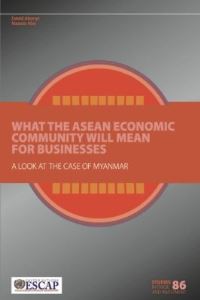Book Cover for What the ASEAN Economic Community Will Mean for Businesses by David Abonyi, Masato Abe, United Nations
