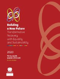 Book Cover for Building a New Future by United Nations, CEPAL Conference