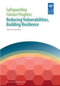 Book Cover for Safeguarding Human Progress by United Nations Development Programme